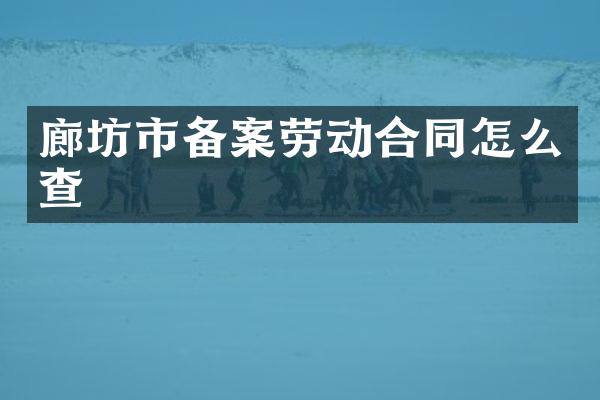 廊坊市备案劳动合同怎么查