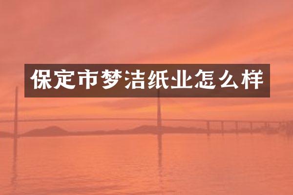 保定市梦洁纸业怎么样