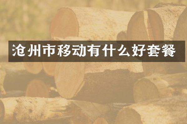沧州市移动有什么好套餐