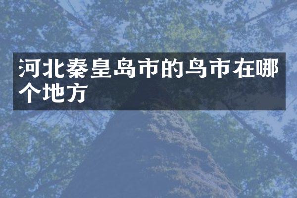 河北秦皇岛市的鸟市在哪个地方