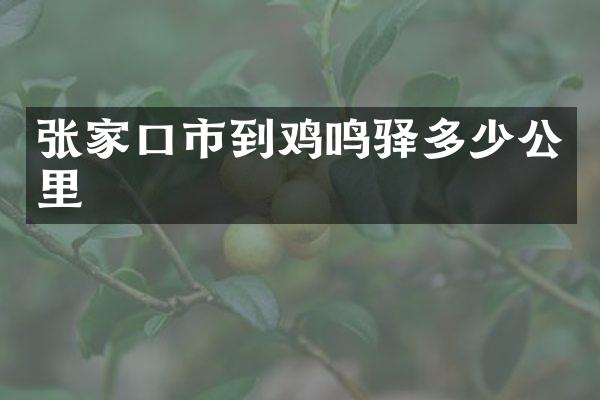 张家口市到鸡鸣驿多少公里