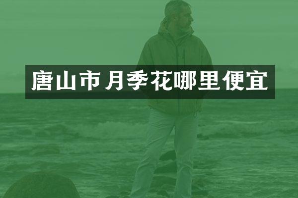 唐山市月季花哪里便宜