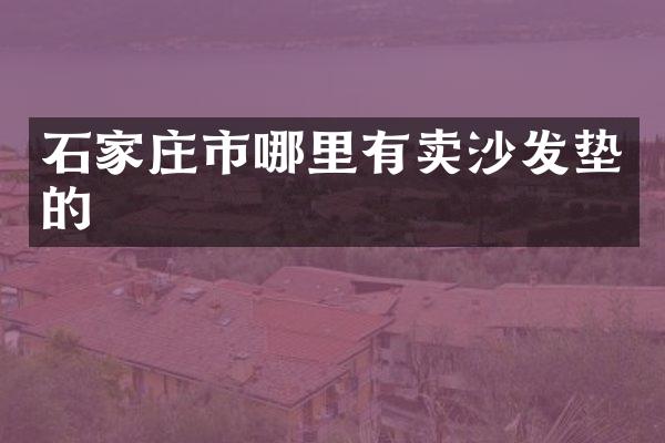 石家庄市哪里有卖沙发垫的