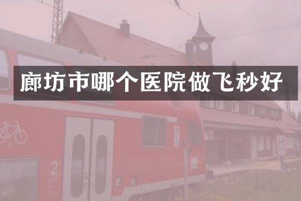 廊坊市哪个医院做飞秒好