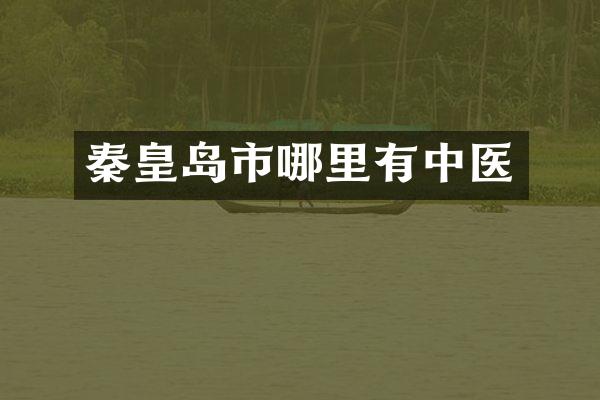 秦皇岛市哪里有中医