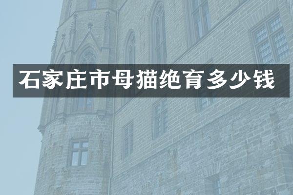 石家庄市母猫绝育多少钱