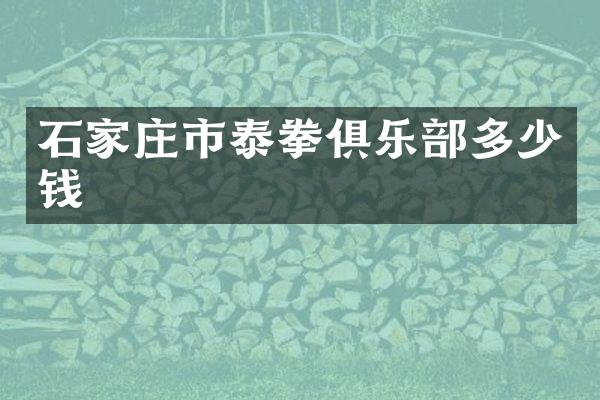 石家庄市泰拳俱乐部多少钱