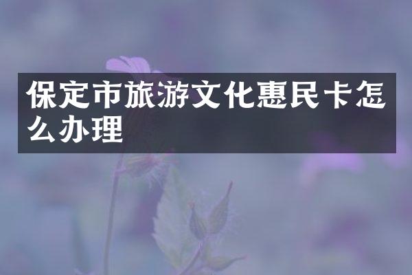 保定市旅游文化惠民卡怎么办理