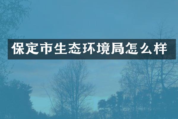 保定市生态环境局怎么样