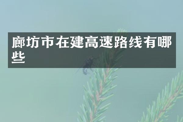 廊坊市在建高速路线有哪些