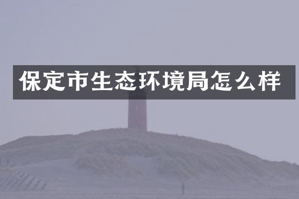 保定市生态环境局怎么样