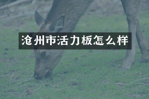 沧州市活力板怎么样