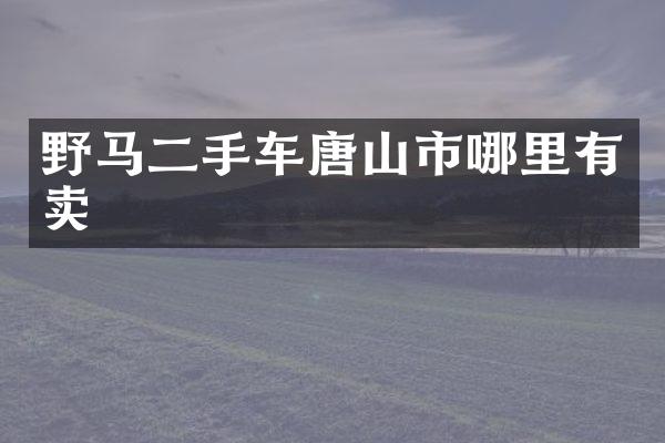 野马二手车唐山市哪里有卖