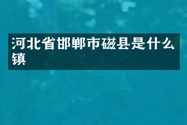 河北省邯郸市磁县是什么镇