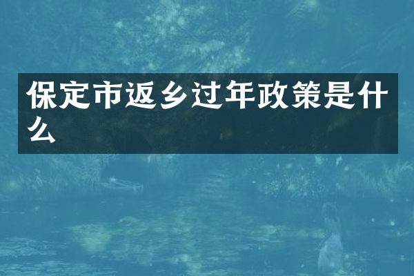 保定市返乡过年政策是什么