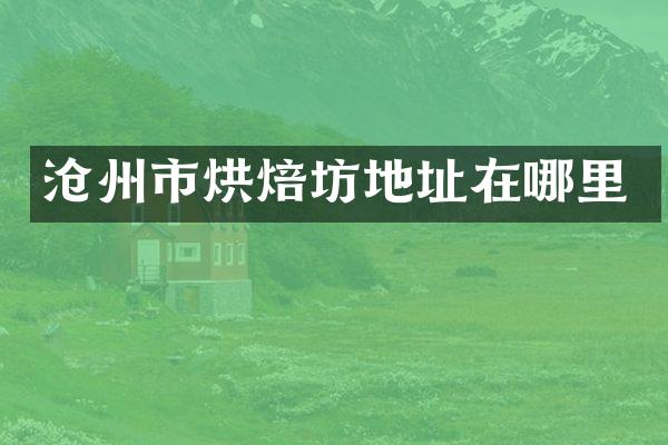 沧州市烘焙坊地址在哪里