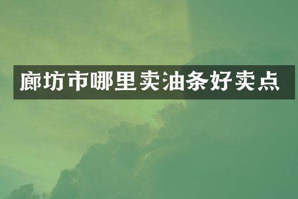 廊坊市哪里卖油条好卖点