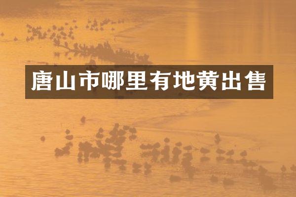 唐山市哪里有地黄出售