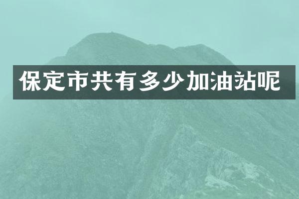保定市共有多少加油站呢