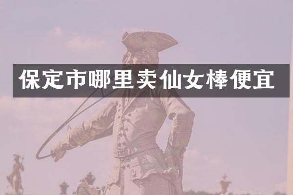保定市哪里卖仙女棒便宜