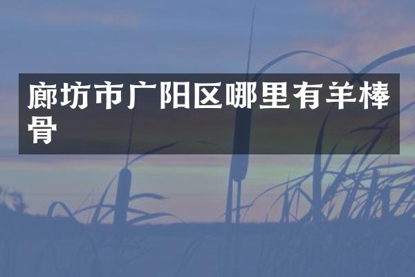 廊坊市广阳区哪里有羊棒骨
