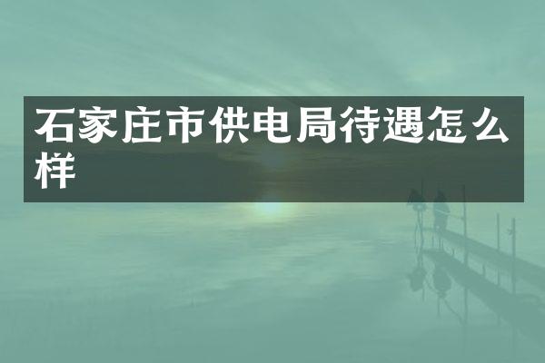石家庄市供电局待遇怎么样