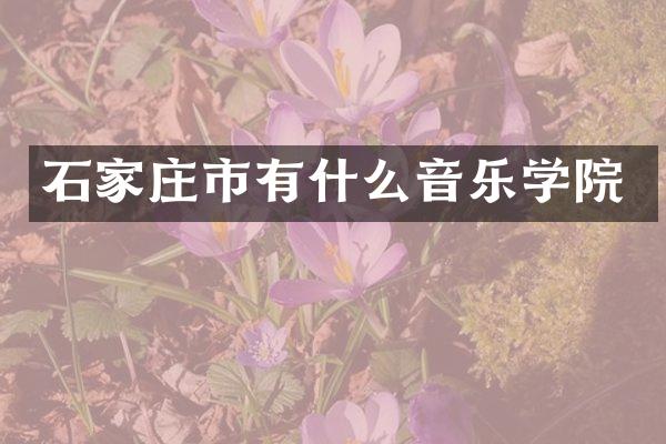 石家庄市有什么音乐学院