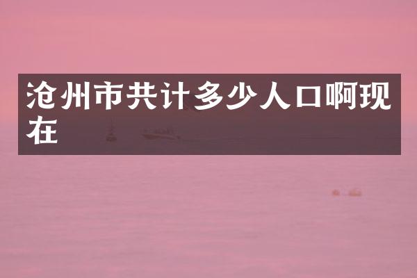 沧州市共计多少人口啊现在
