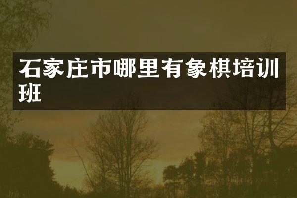 石家庄市哪里有象棋培训班