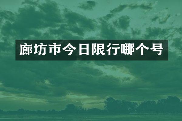 廊坊市今日限行哪个号