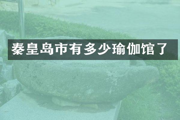 秦皇岛市有多少瑜伽馆了