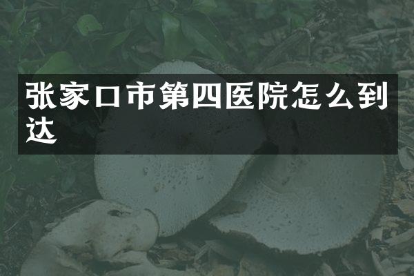 张家口市第四医院怎么到达