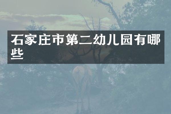 石家庄市第二幼儿园有哪些