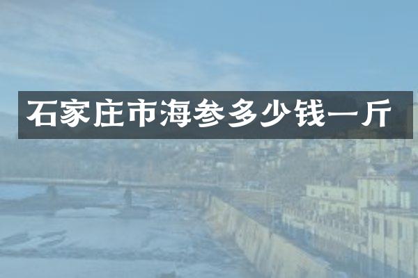 石家庄市海参多少钱一斤