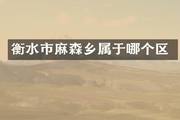 衡水市麻森乡属于哪个区