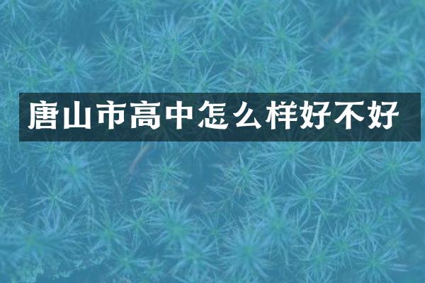 唐山市高中怎么样好不好