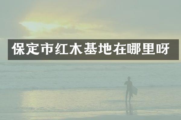 保定市红木基地在哪里呀
