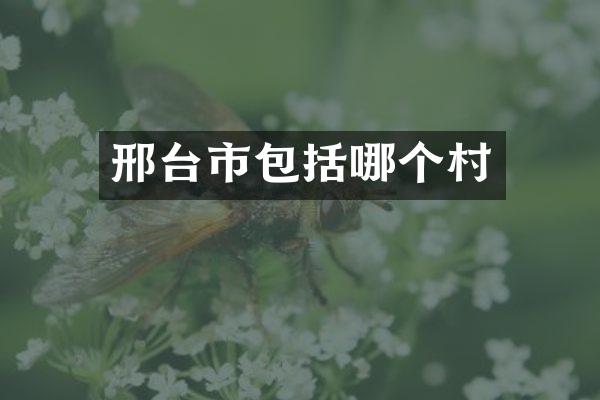 邢台市包括哪个村