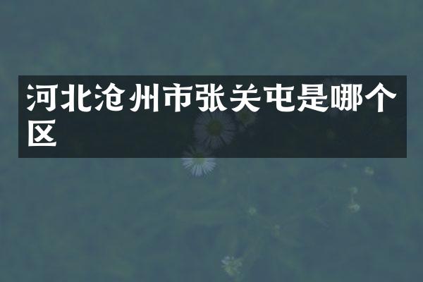 河北沧州市张关屯是哪个区