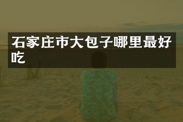 石家庄市大包子哪里最好吃