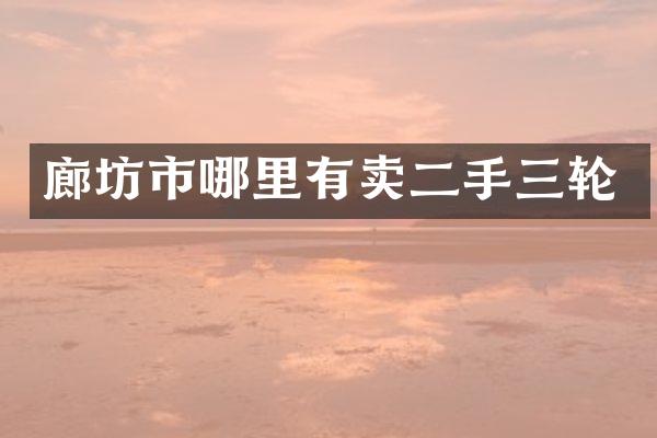 廊坊市哪里有卖二手三轮