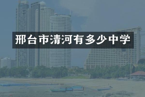 邢台市清河有多少中学