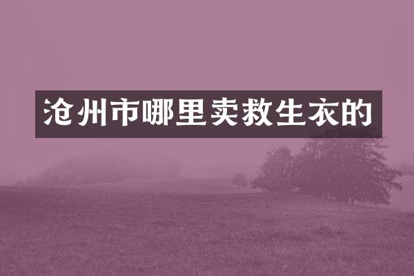 沧州市哪里卖救生衣的