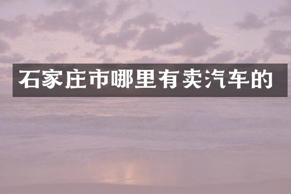 石家庄市哪里有卖汽车的
