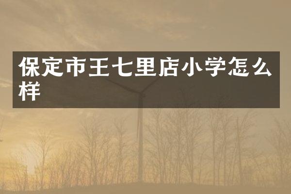 保定市王七里店小学怎么样