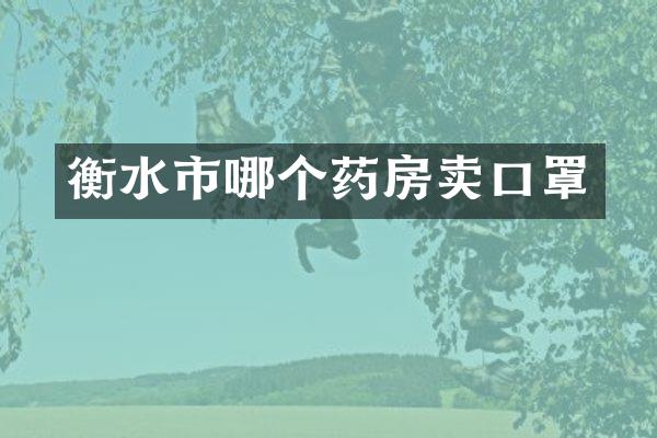 衡水市哪个药房卖口罩