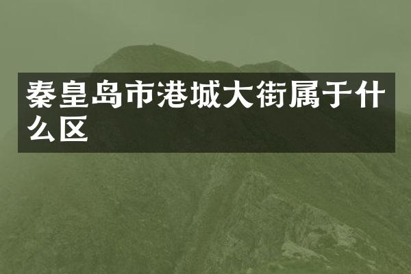 秦皇岛市港城大街属于什么区