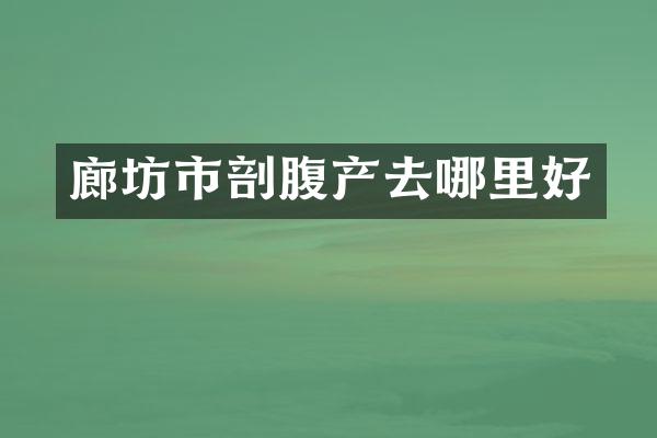 廊坊市剖腹产去哪里好
