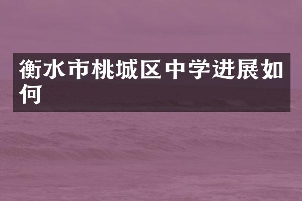衡水市桃城区中学进展如何
