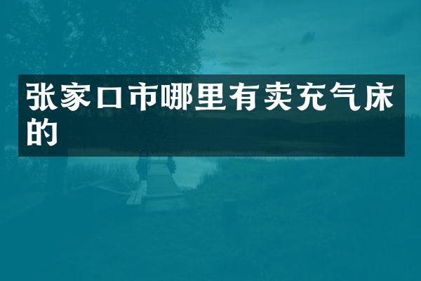 张家口市哪里有卖充气床的